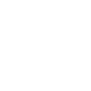 Fast Shipping Icon