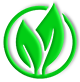 Green Icon