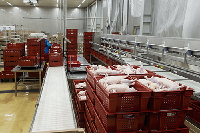 Meat Processing Plant